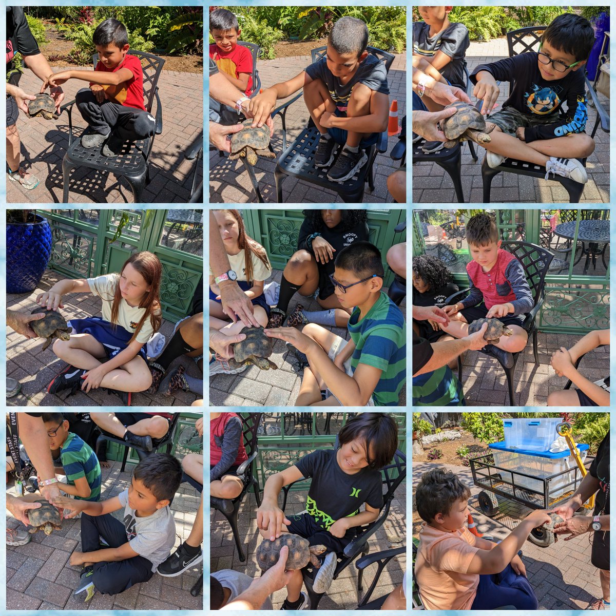 SeaGateMC's tweet image. Investigating the differences between turtles and tortoises at the Everglades Wonder Gardens! 🐢#CommunityBasedLearning #AuthenticLearning @SeaGateES
