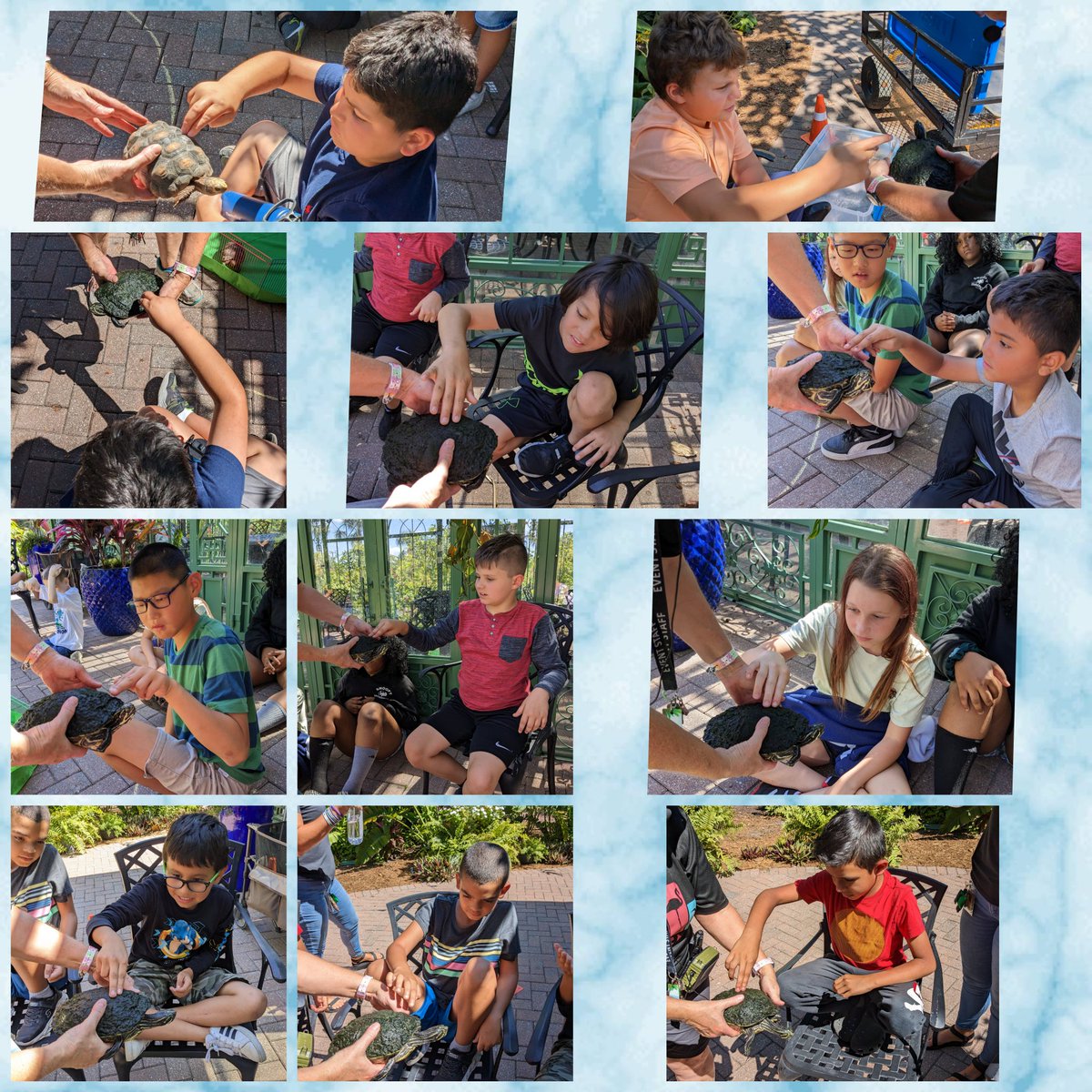 SeaGateMC's tweet image. Investigating the differences between turtles and tortoises at the Everglades Wonder Gardens! 🐢#CommunityBasedLearning #AuthenticLearning @SeaGateES