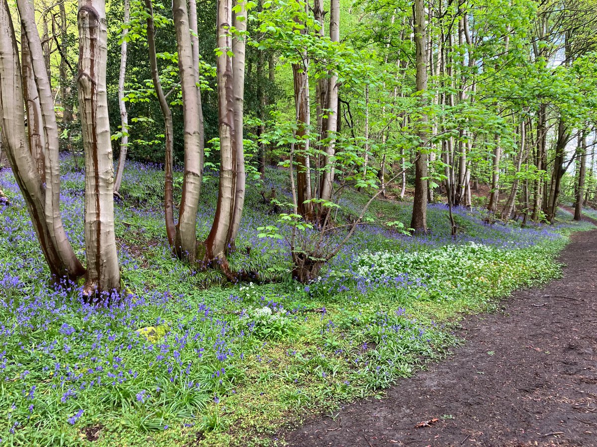 Phil Heron 🇬🇧 🇪🇺 tweet media