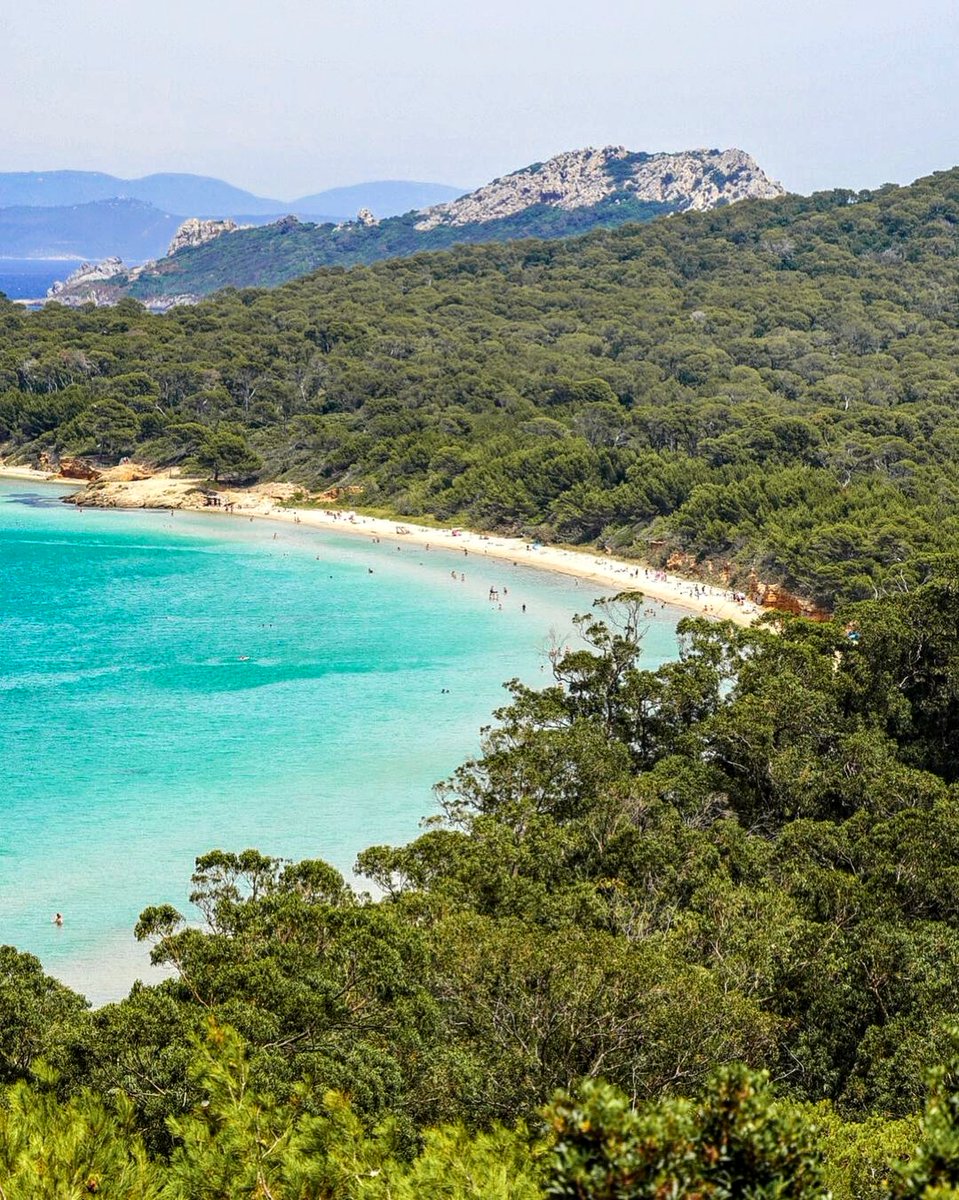 ilgsainttropez's tweet photo. ❤ ~ Comme une contrée sauvage, qu'on se doit de préserver 😍😍 ( Merci à @ fromswitzerlandtoworld )

✓ https://t.co/7lVYYezmvZ
#Nature #Beach #Naturebeach #Ile #Sauvage #Porquerolles #Sud #Provence #Var #France #Mer #Ciel #ilovegolfedesttropez &amp; you ?! https://t.co/mfw6ZW9mmQ