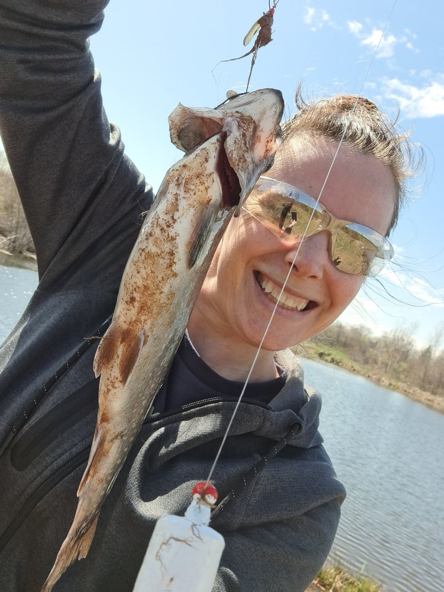 MrsPatstone's tweet photo. Catching dinner on today's fishing field trip! Always a great trip with amazing volunteers!

#DAHS_avrce #AVRCE_NS https://t.co/3UOPSmt6oJ
