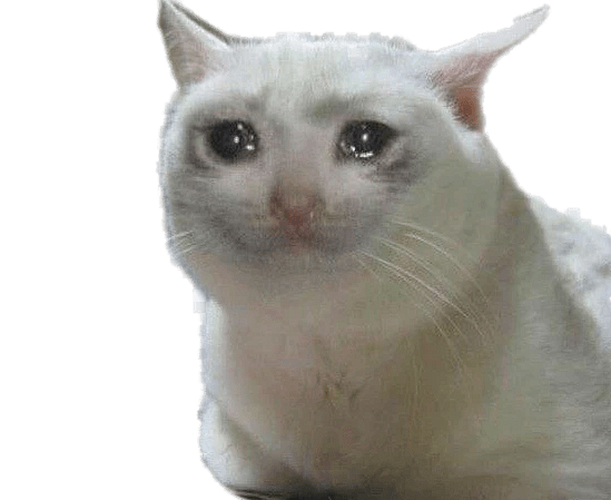 CryCatOfficial's tweet photo. $CRYCAT the next $PEPE 🌙🌙🌙
#MemeCoinSeason https://t.co/Az1Ga7S80A