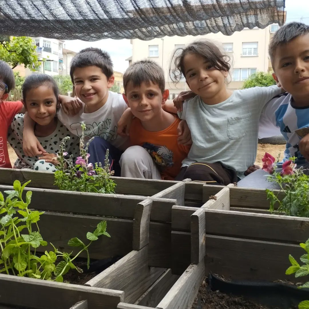 sagratcorvic's tweet photo. Els alumnes de 1r hem plantat flors i plantes aromàtiques per donar vida i alegria als voltants de la sorrera! Ens ha agradat molt fer de jardiners! 🌺🌷🪷🌸💮🏵️🪻🌻🌼 #sagratcorvic #scvep #primaria #escola #vic #educacio https://t.co/zy9PB2yqXr