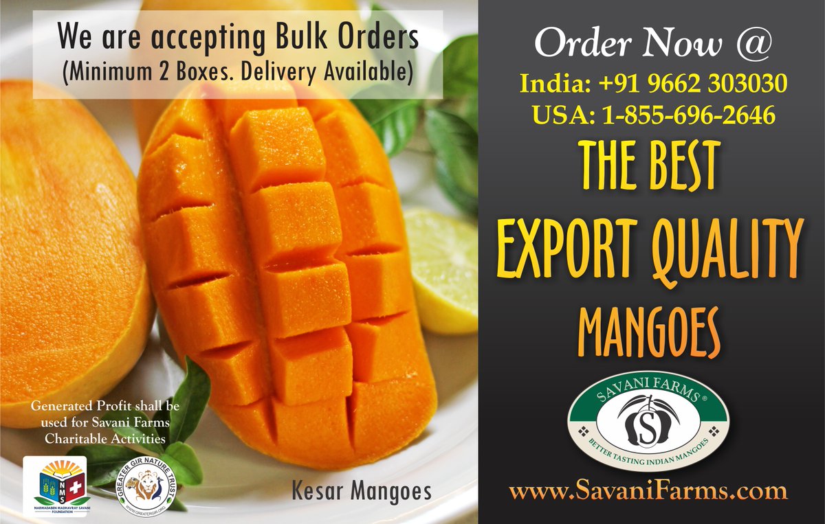 Savanifarm's tweet photo. We offer the most perfectly ripe Kesar Mangoes Online, and you can never go wrong with us.

Double up your joy of eating mangoes by sending them to your peers as gifts.

To Place Your Order

Visit : https://t.co/Dipo79Hgb5

#Savanifarms #KesarMango #Mango #MangoFruit #indianMango https://t.co/KmED8GYkaJ