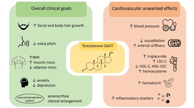 Jeimison D Santos, PhD (@jeimisonds) on Twitter photo I'm thrilled to share our most recent review about the cardiovascular effects of testosterone-GAHT, published in <a href="/ajpheartcirc/">AJP-Heart and Circ</a>. <a href="/Tosteslab/">The Tostes Lab</a> <a href="/AgenciaFAPESP/">Agência FAPESP</a> <a href="/CepidCrid/">Center for Research in Inflammatory Diseases(CRID)</a> <a href="/fmrp_usp/">FMRP USP</a> 🧵(1/5) I'm thrilled to share our most recent review about the cardiovascular effects of testosterone-GAHT, published in <a href="/ajpheartcirc/">AJP-Heart and Circ</a>. <a href="/Tosteslab/">The Tostes Lab</a> <a href="/AgenciaFAPESP/">Agência FAPESP</a> <a href="/CepidCrid/">Center for Research in Inflammatory Diseases(CRID)</a> <a href="/fmrp_usp/">FMRP USP</a> 🧵(1/5)