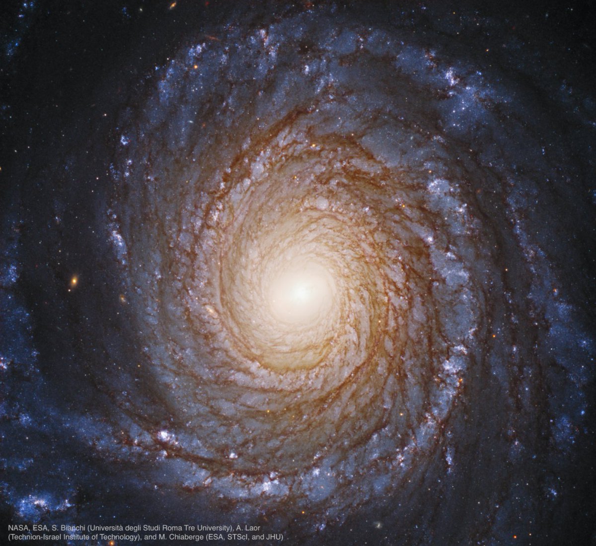 NASAUniverse's tweet image. In the time it takes you to read this tweet, the expansion of the universe will carry this gorgeous spiral galaxy, called NGC 3147, another 31,000 miles away from us. That’s about four Earth diameters. #MondayMotivation