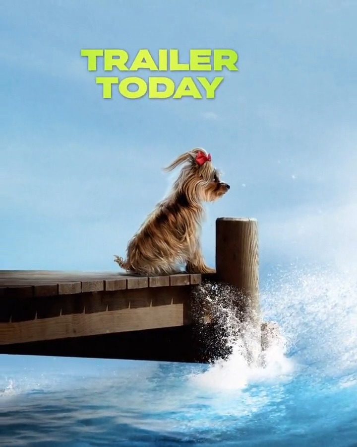 DiscussingFilm on Twitter: "The first trailer for ‘THE MEG 2’ releases