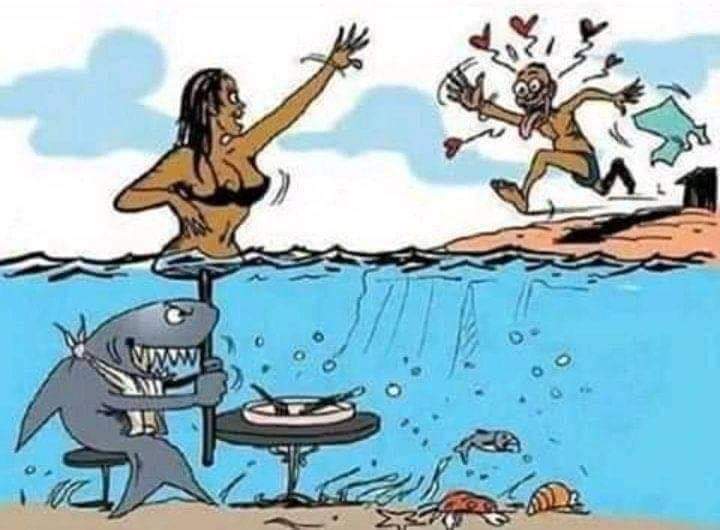 PAPO NA LÓGICA 🧠 tweet media