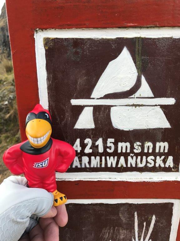 ISUSeedGrad's tweet photo. #SeedLeader Brent Reschley at Syngenta took Cy on his latest adventures to the Galapogos Islands and on his hike up the Inca Trail to Machu Pichu. We love seeing the places where Cy has traveled! Do you have any photos of your Cy traveling with you around the world? https://t.co/S2YDeriZYf