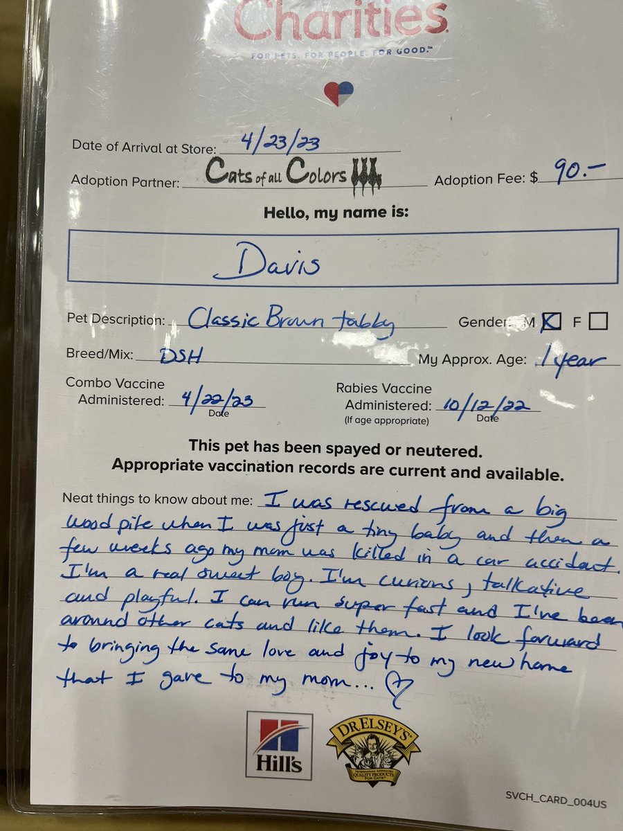 #Adopt Davis. His owner was killed in car accident. Currently at #Petsmart 6081 Florin Rd #Sacramento CA #CatsOfTwitter #AdoptDontShop