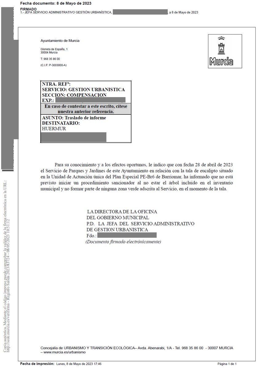 huermur's tweet photo. #ÚLTIMAHORA 🔴 El @AytoMurcia informa de que no piensa iniciar un procedimiento sancionador por el arboricidio del enorme eucalipto de Barriomar producido el pasado mes de marzo.

Ha salido barato talar el árbol, circulen que esto es #Murcia @SerranoJAntonio @nhoa81 @AFcGuerrero https://t.co/5v1e6bQGNk