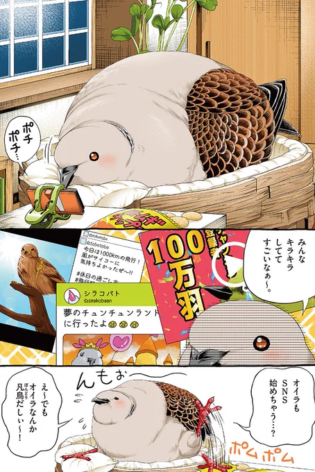 日記を始めたキジバトくん。  #キジバトくん日記 その1