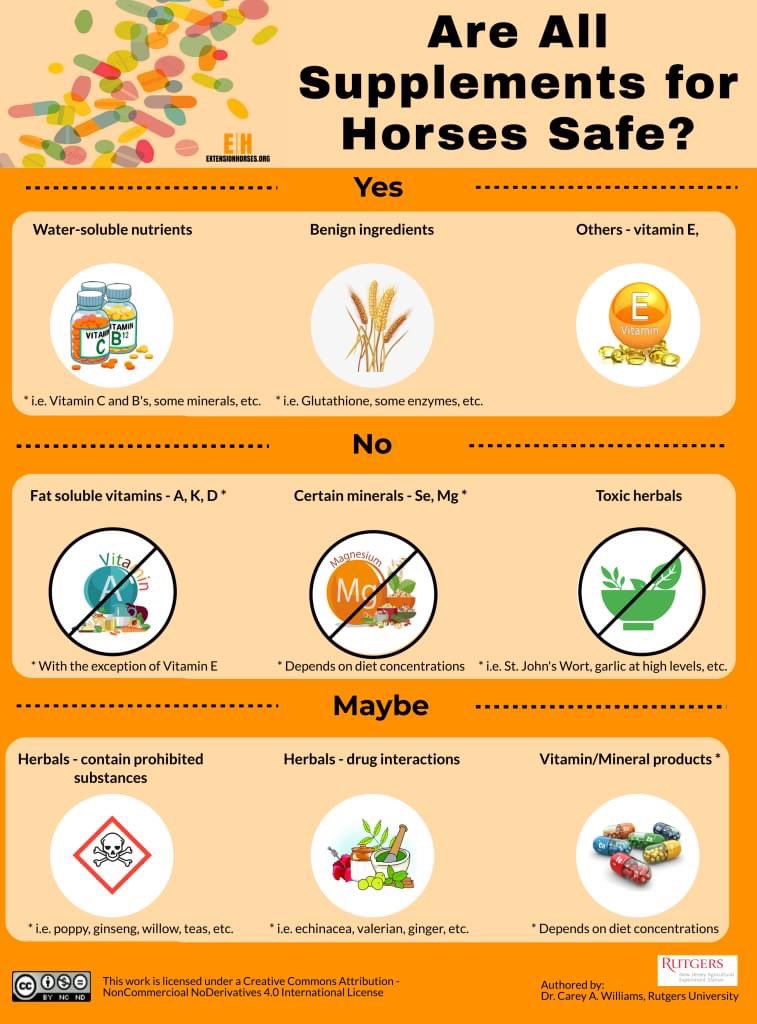 Supplements seem to be all the rage in the horse world, but are they really good for your horse?