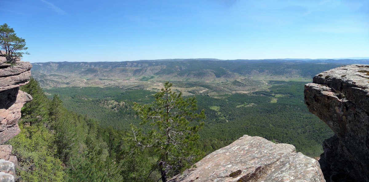 comcu's tweet image. XI Trofeo Serranía de Cuenca. 10 y 11 de junio de 2023. Valdemeca.
…feoserraniadecuenca2023.wordpress.com