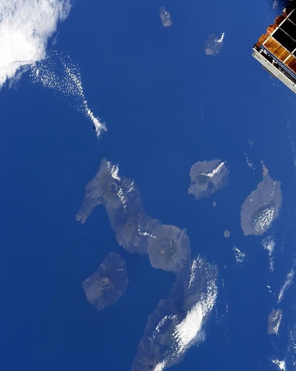 Las islas Galápagos en el Océano Pacifico desde la Estación Espacial Internacional fotografiada por el cosmonauta Ruso Anton Shkaplerov. 

📷 Anton Shkaplerov