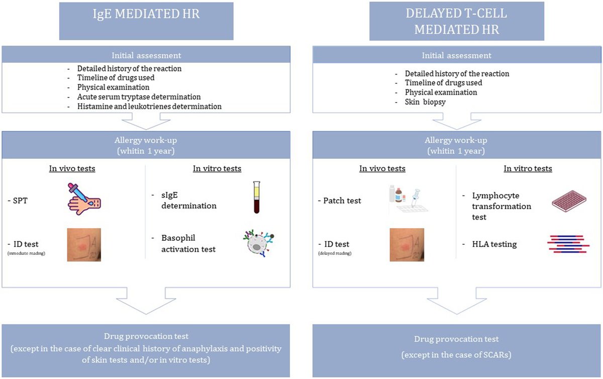 pai_eaaci's tweet photo. 📢 #InVitro diagnostic testing for #DrugAllergy in #children.

Read the review by Saretta et al here👉https://t.co/ekfNEcnL23 👏

#PAI_journal #paediatric #allergy #hypersensitivity #lgE #Basophil https://t.co/He889FswXk