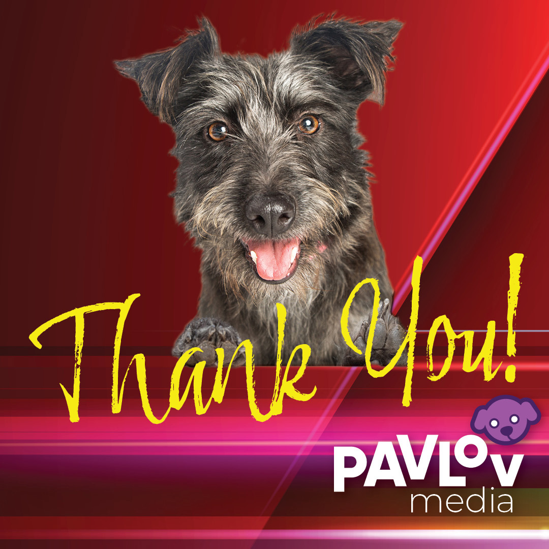 Thank you to everyone who stopped by our friends over at Simplified Computers' booth.

We hope everyone and their pets had a good time at the 2023 Champaign County Humane Society Mutt Strut. 

#muttstrut #supportcchs #PavlovMedia