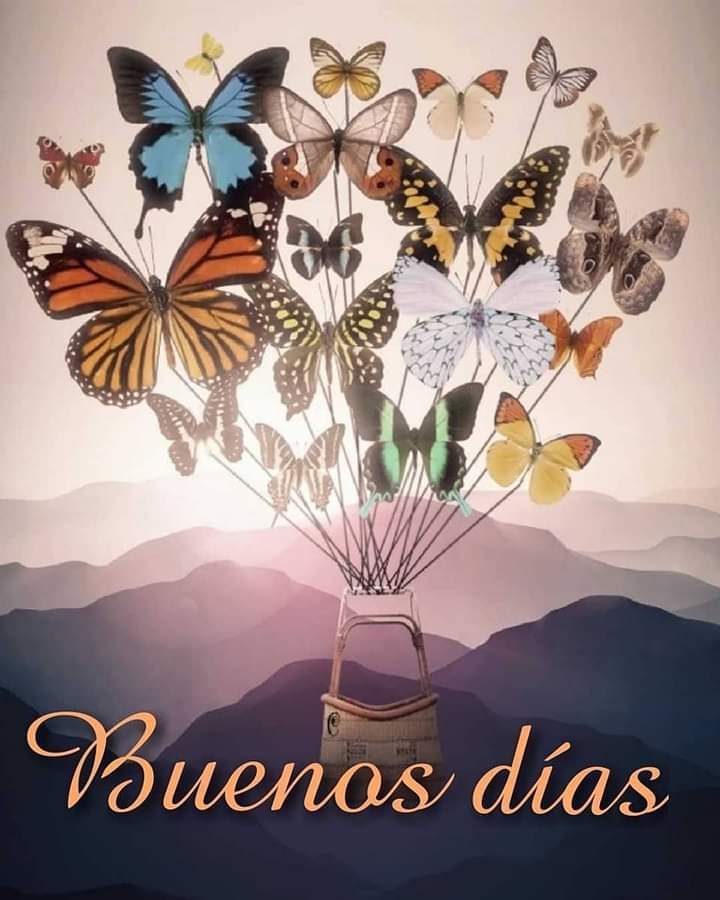 Tengan todos un excelente inicio de semana