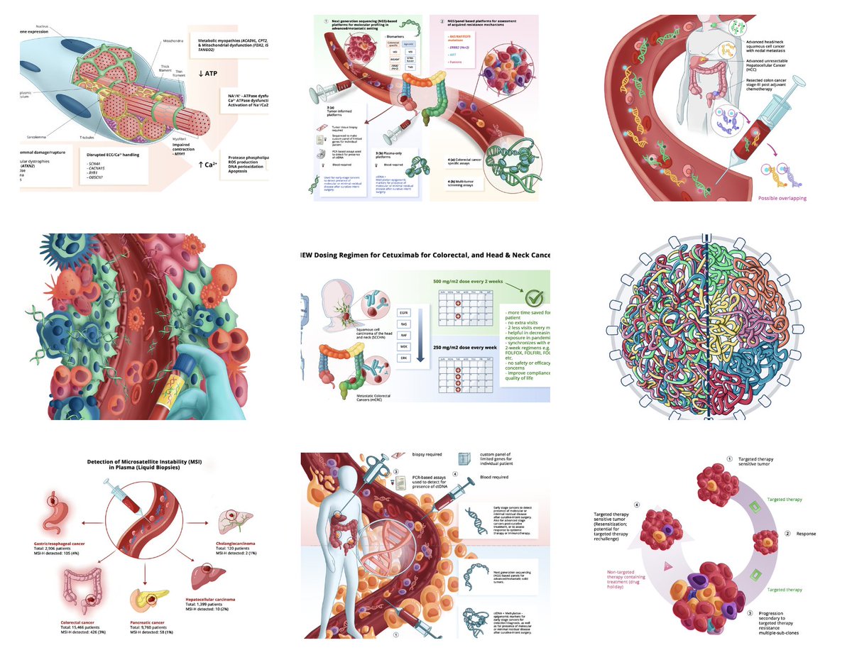 DrawImpacts's tweet image. 👋Attention, scientists! Did you know that designing scientific figures involves more than just schematics? 
✏️ From sketching to coloring, check out these steps for creating eye-catching figures. #sciencedesign #illustrations #scientificfigures @DrawImpacts