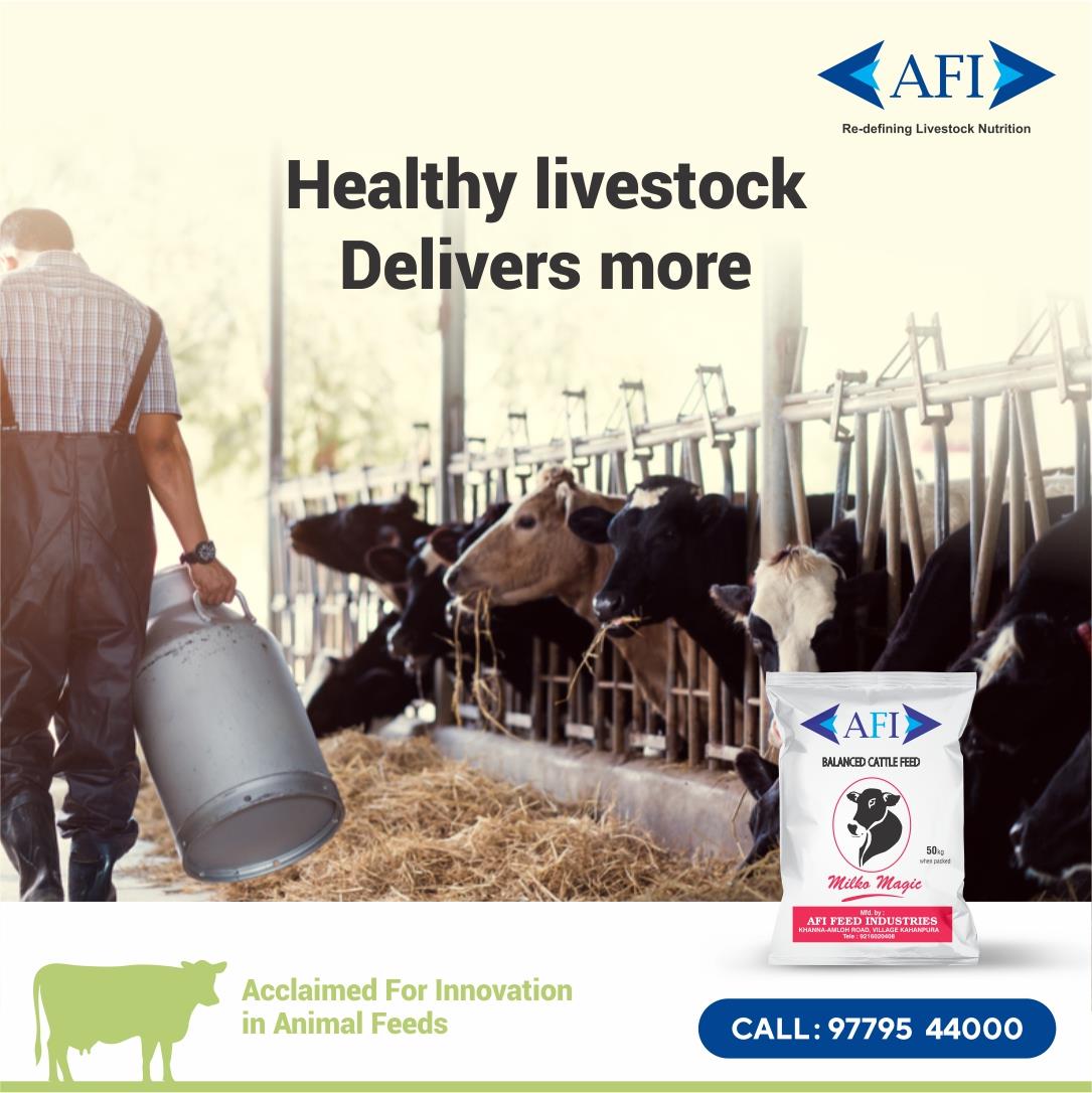 AFI Feeds, keeping your animals healthy. Choose Balanced Life, Balanced Diet.
#Dairy #Feed #AnimalFeed #AnimalHealth #MilkProduction #AnimalNutrition #Farming #IndianDairyFarmer #DairyIndustry #DairyFarmer #DairyFarming #Milk #Agriculture #MakingAnImpact #SustainableAgriculture