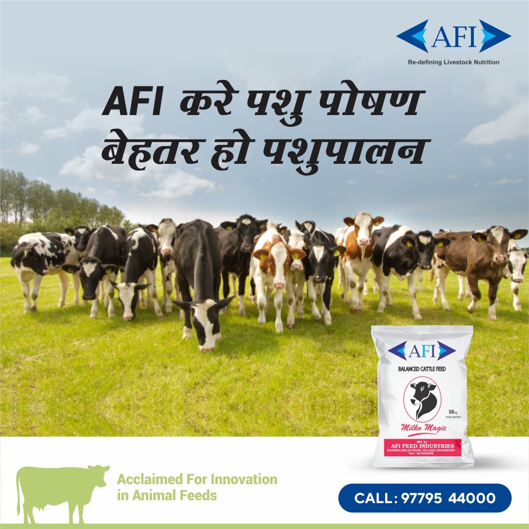 Palan aur poshan ho behtar jab aapke sang ho AFI Feed ka faida. Choose Balanced Life, Balanced Diet.
#Dairy #Feed #AnimalFeed #AnimalHealth #MilkProduction #AnimalNutrition #Farming #IndianDairyFarmer #DairyIndustry #DairyFarmer #DairyFarming #Milk #Agriculture #MakingAnImpact