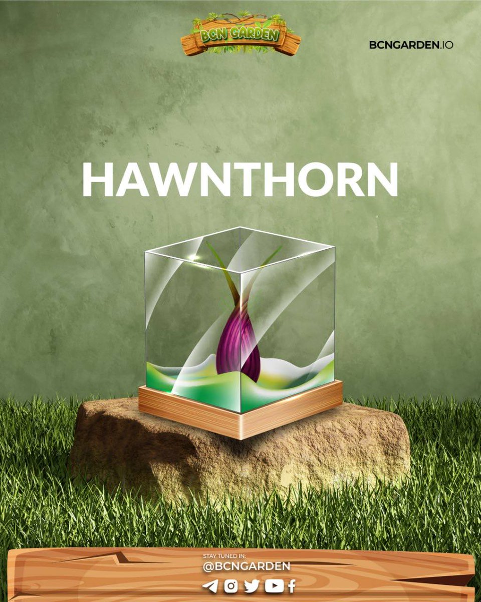 BCN Garden (@bcngarden) on Twitter photo HAWNTHORN
Fruits: Sunberry
Group: Legends
Class: Blue
Gender: Male
Origin: South of Africa
Total Supply: 800
Value: 31,300TIM
Fruiting Rate: 10 each time
<a href="/BcnGarden/">BCN Garden</a> HAWNTHORN
Fruits: Sunberry
Group: Legends
Class: Blue
Gender: Male
Origin: South of Africa
Total Supply: 800
Value: 31,300TIM
Fruiting Rate: 10 each time
<a href="/BcnGarden/">BCN Garden</a>