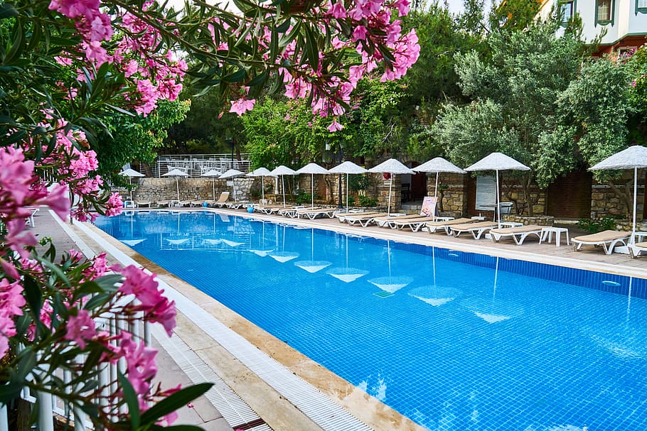 TrueTraveler7's tweet photo. Want to stay at a hotel with a pool close to where you are? You can find hotels with indoor and outdoor pools for you to relax and have fun. BOOK NOW!
Read the article: https://t.co/ezV2nxfXvp
#hotelswithpool #jacuzzihotelroom #hotelsnearme #outdoorpool #indoorpool #poolshotel https://t.co/TPGmqvFR7V