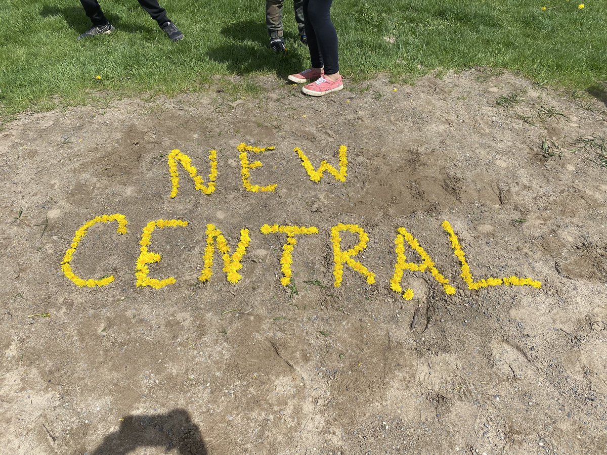 Some people see weeds, while others create!
Our grade 6 and grade 1/2 Buddies worked together to create this dandelion art!!!