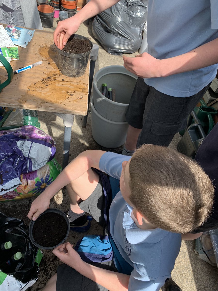 sbps_class6G's tweet photo. After learning about soil types, we planted our own vegetables and crops and will be observing and analysing their growth 🌱 🌾 #sbpsGeog https://t.co/Vd5R87BL8x