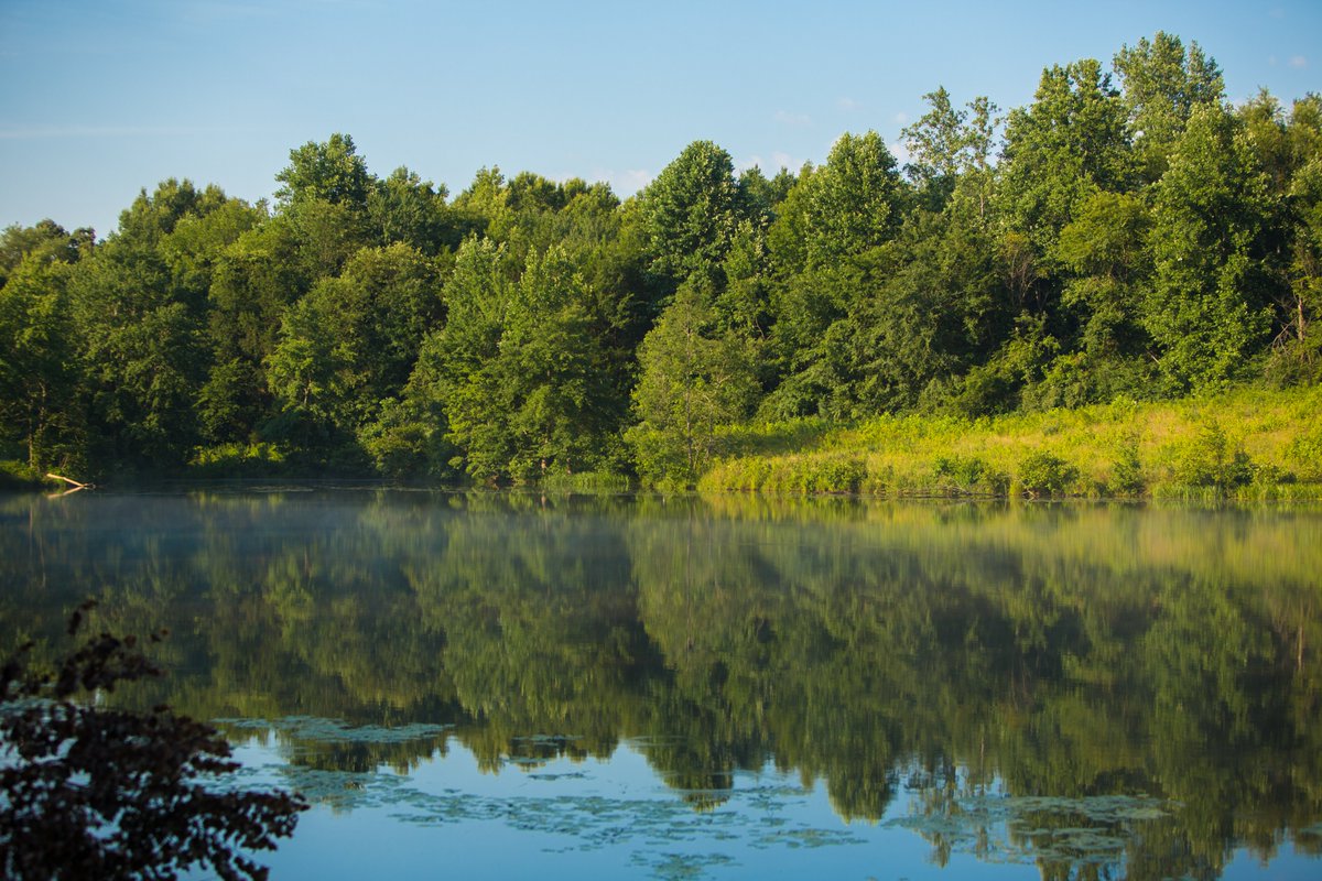 VirginiaDWR's tweet image. ATTENTION: THE PUBLIC COMMENT PERIOD ON PROPOSED REGULATION: WILDLIFE, HUNTING AND BOATING CLOSES MAY 10!

Here's your chance to submit your views for proposed amendments to the Commonwealth’s regulations governing wildlife and boating. dwr.virginia.gov/regulations/20…. #vawildlife