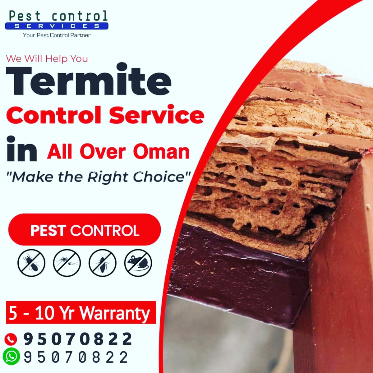 MuscatPest's tweet image. PestControl Services Oman is one of the best service provider in oman,
We are working round-the-clock 24/7
For Anti Termite Control we are offering 5 to 10 years warranty.
For free inspection call 95070822.
#termitecontrol #rummah #termiteproblem #termites #termitewarranty