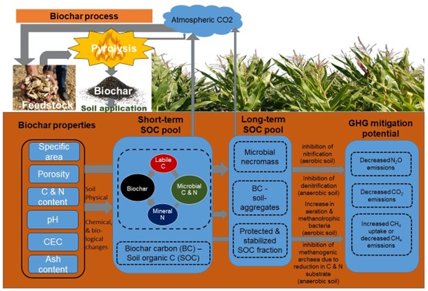 Journal of Environmental Quality tweet media