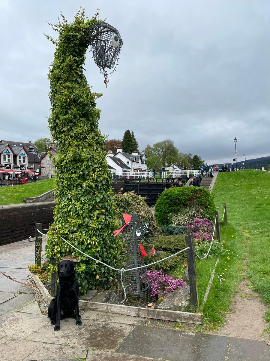 FurbabyPrince's tweet photo. Furpals, I'm at #FortAugustus #Scottieland by the #Neptunesteps, and look what I've found it's Big and Little Nessie #Monster 🤣 https://t.co/io2npaQzkn