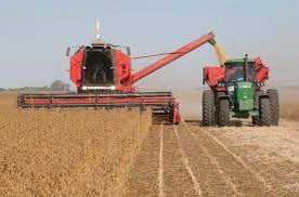 AgronomiaRecari's tweet photo. Esperando que seque para seguir la cosecha 🌱#soja #agricultura #campo #farm https://t.co/EaggJLEWwO
