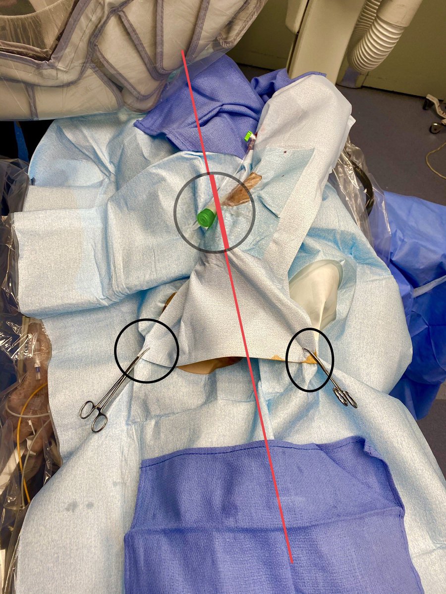 Rich_cathRT(CI)☢️ tweet media