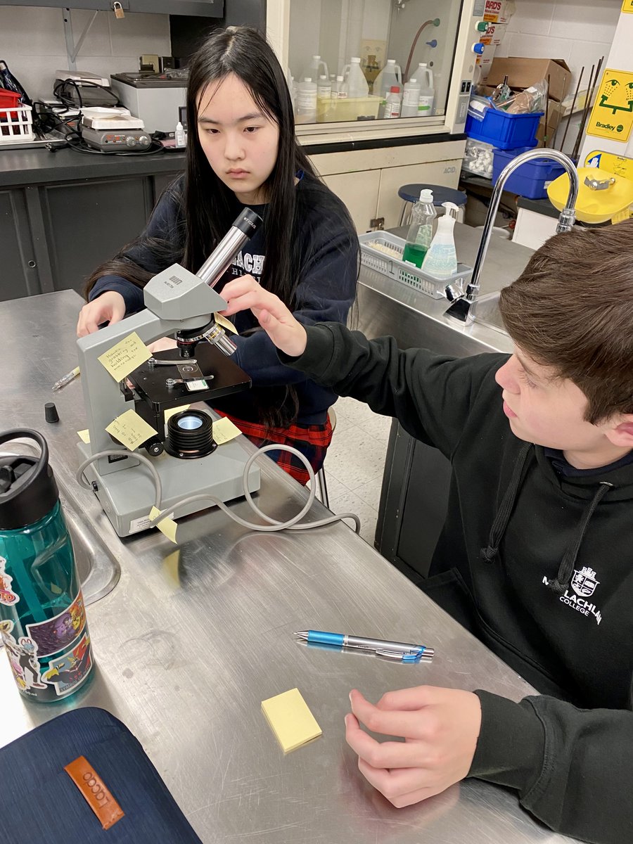 Our Gr.8 Science students have been getting up close and personal with microscopes as they prepare for their plant and animal cell comparison lab! 🔍🦠

#ScienceEducation #SciED #Microscopes #STEMeducation #Curiosity #Discovery