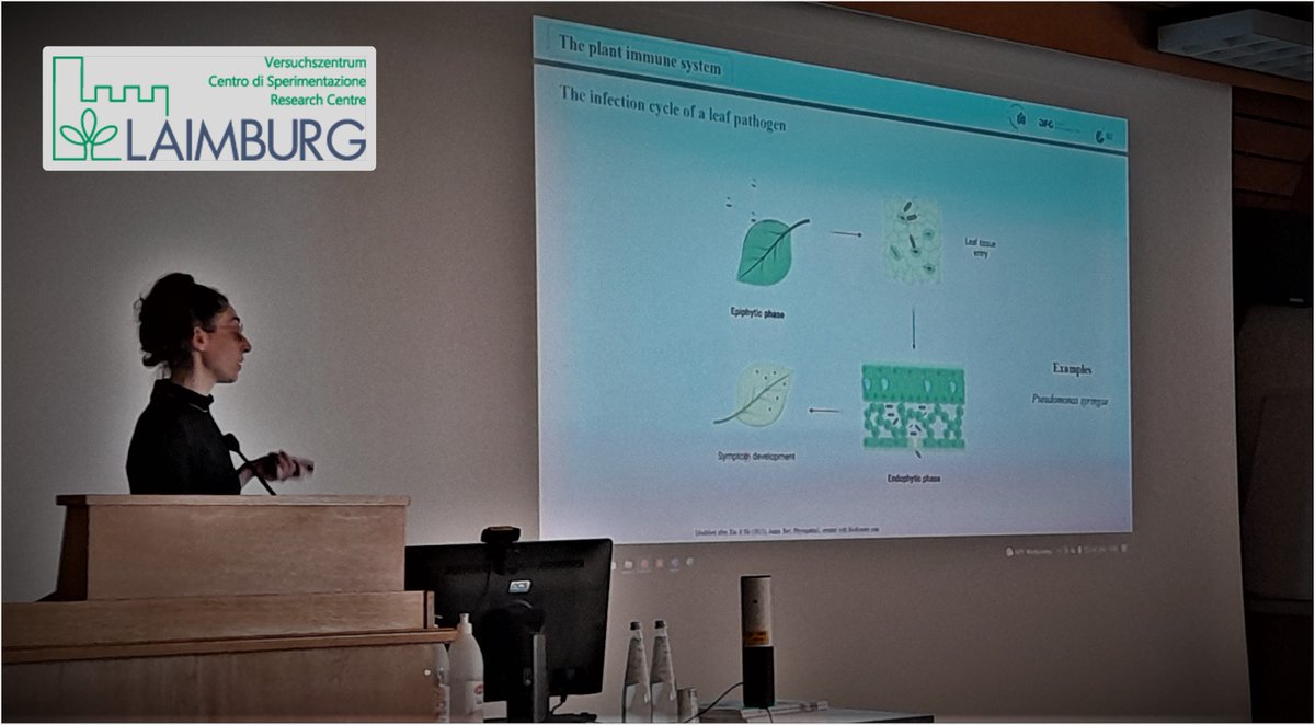 Throwback Monday! Thank you very much @MargotRaffeiner from #theustunlab @ruhrunibochum for presenting your super interesting PhD research about the Xanthomonas effector protein XopS last week at the Series of Lectures @MolBioLB.