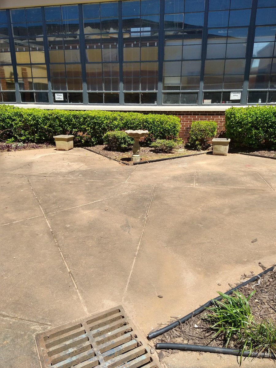 Thanks to the work of the garden club, students from Dr. Villanueva's and Ms. Duncan's classes, and Mr. Ragsdale, our garden area is starting to look good!