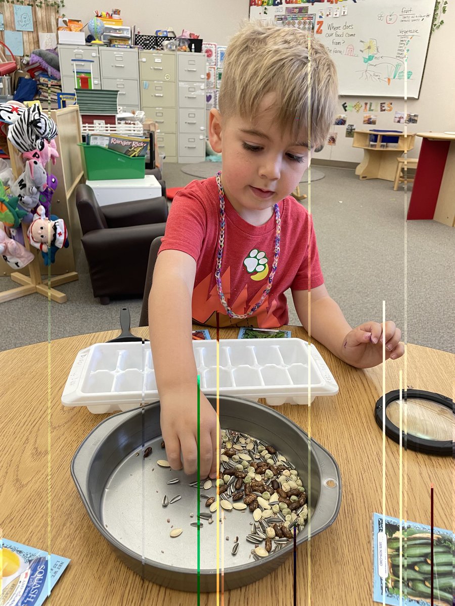 SVVSD Community Schools tweet media