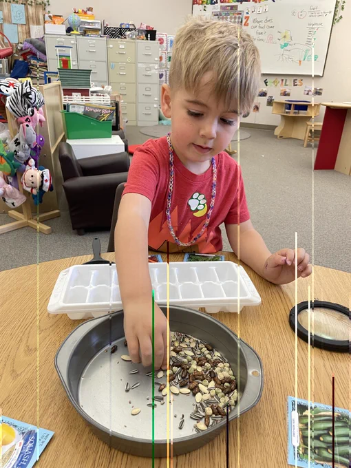 Image from SVVSD Community Schools (@svvsdcommunity)