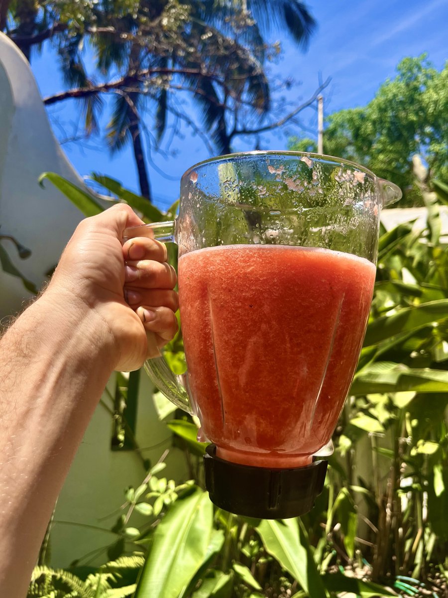 Noah Ryan on Twitter "Sigma preworkout watermelon juice 97 water