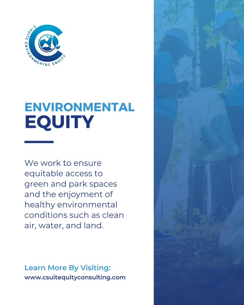 C-Suite Equity Consulting tweet media