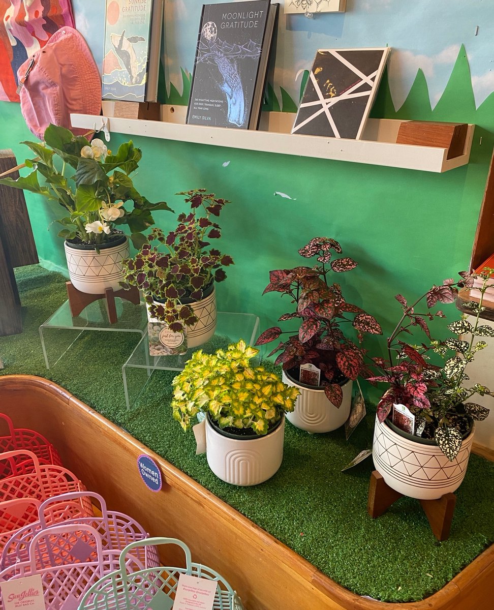 ShopExit9's tweet image. Limited supply of live plants now available will supplies last.  Mother's Day is this Sunday.  Don't forget about MOM!!! #mothersday