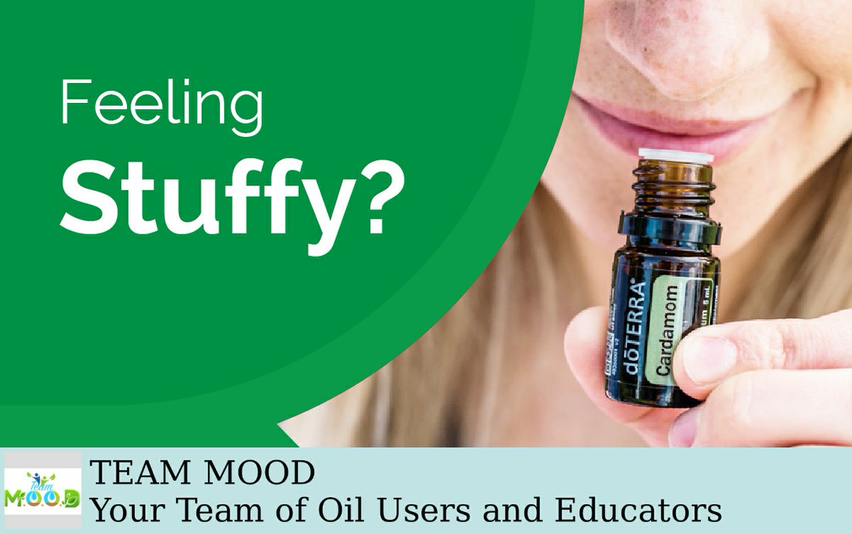 MooreOiled's tweet photo. Essential oils can support feelings of clear airways and easy breathing! Amp up your wellness routine and visit https://t.co/p34uCqLfIB https://t.co/d0nosMrQRr