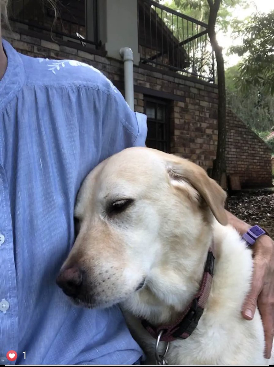 Richard Spoor tweet media