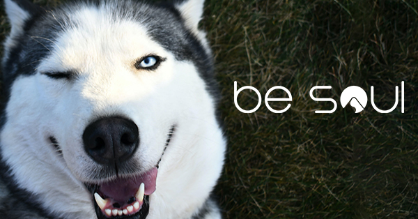 BeSoulApp's tweet image. Keep the memories of your loved ones close to your heart with Be Soul.  Create personalized arks and Edens to celebrate their life and cherish their memory. #memorykeeping #Eden #arks #BeSoul