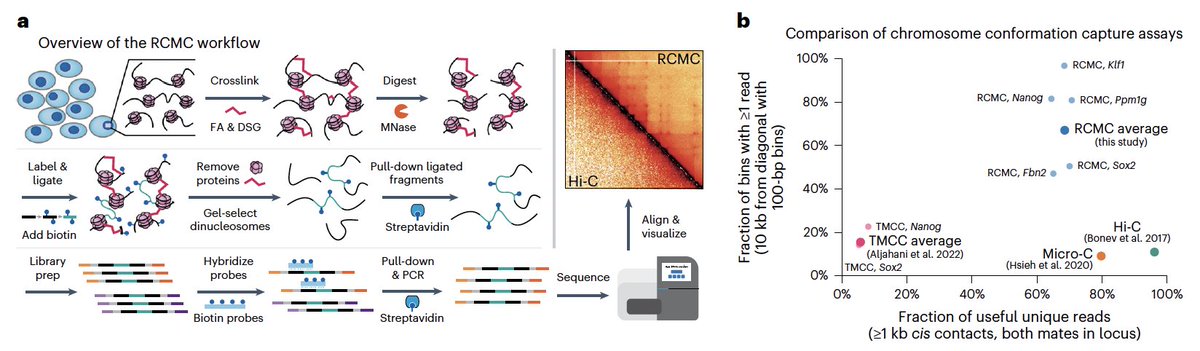 Anders Sejr Hansen tweet media