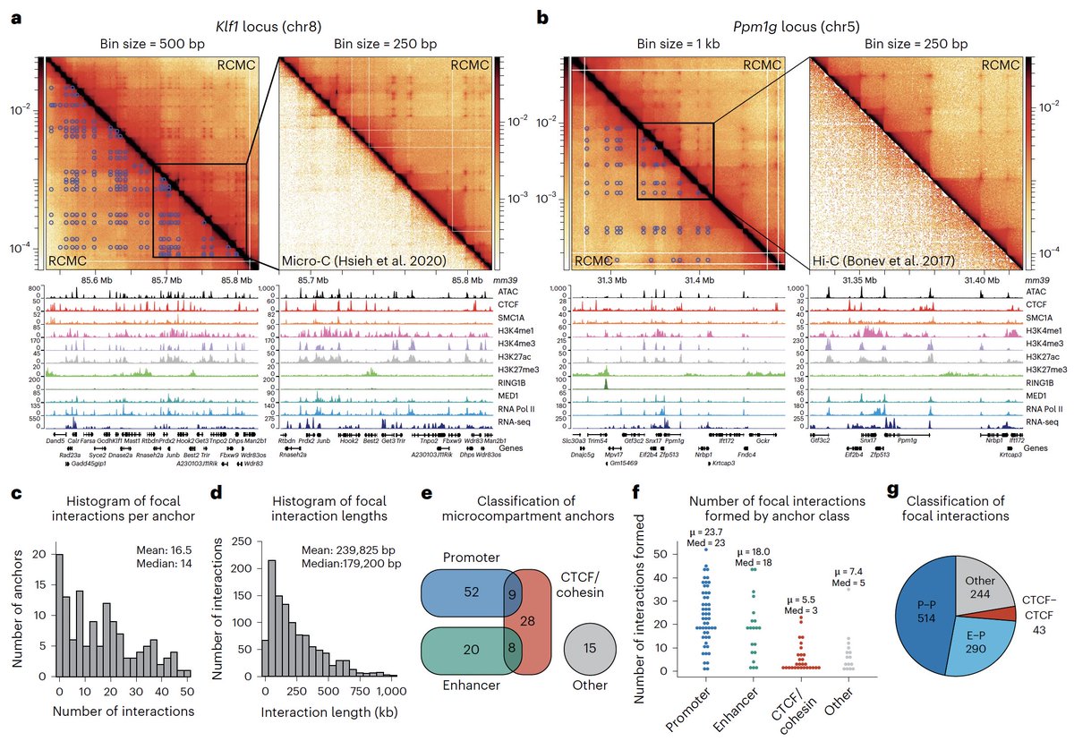 Anders Sejr Hansen tweet media