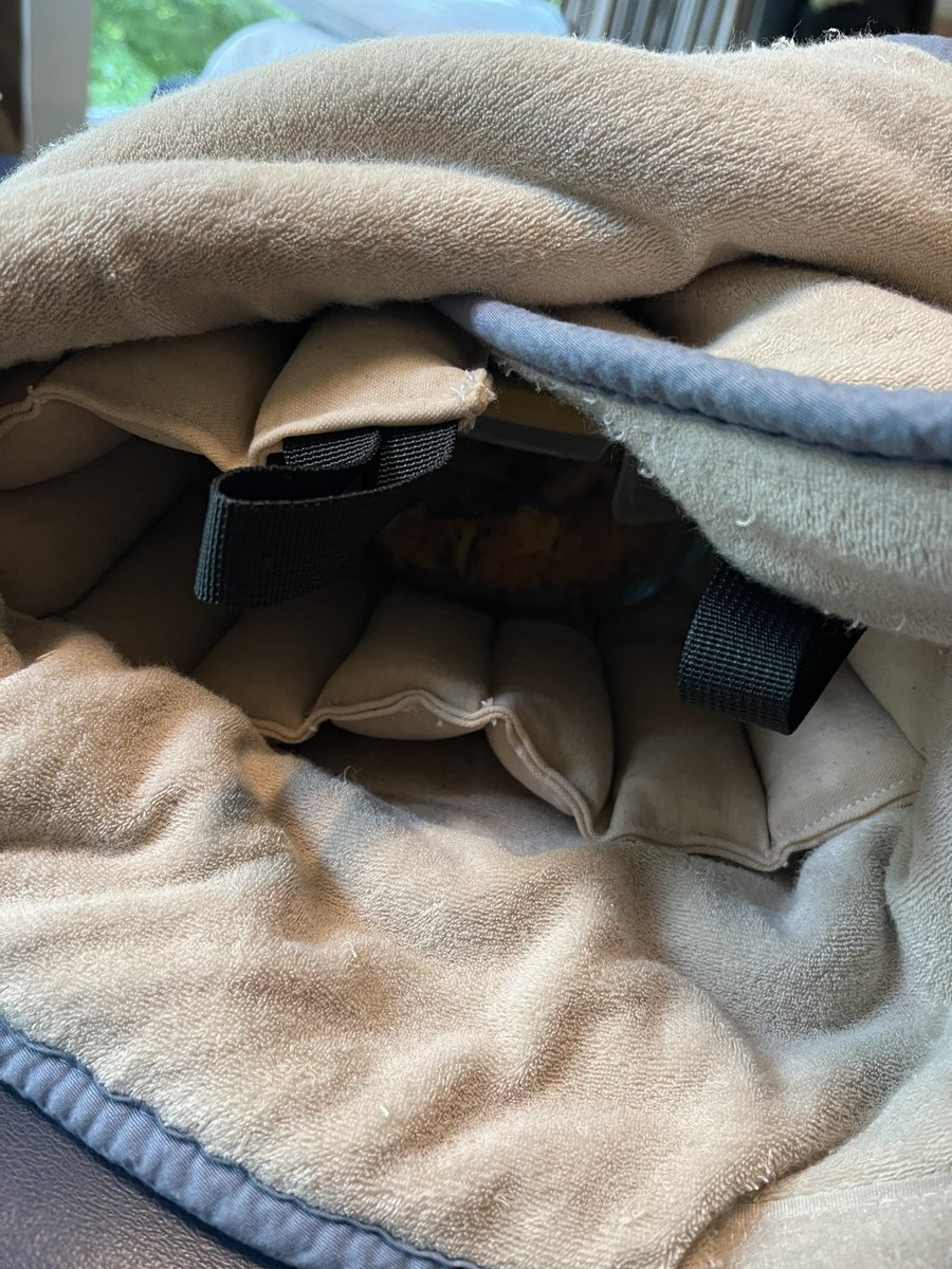 Dr. Ryan Balmes tweet media