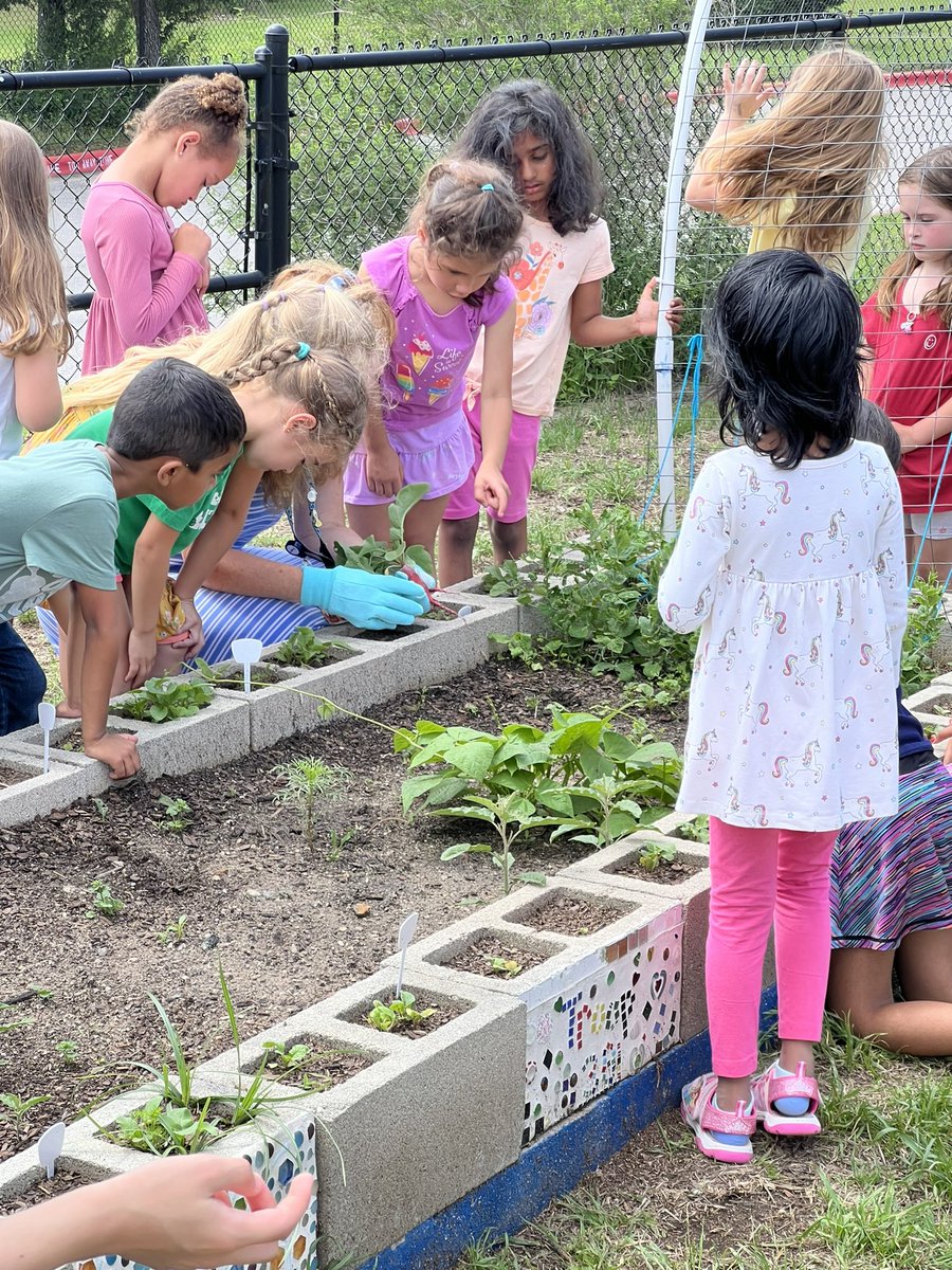 #reaganrays out in the garden to see how their plants are growing! We have radishes!